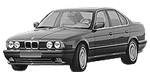 BMW E34 P1556 Fault Code