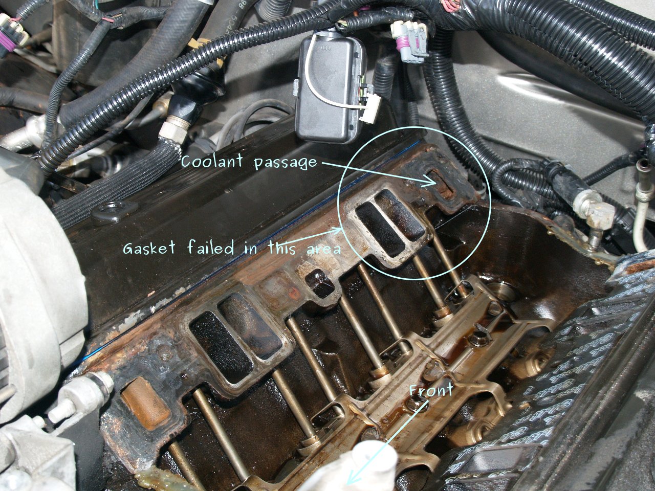 See P1556 in engine